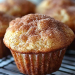 Snickerdoodle Muffins Recipe 2 Snickerdoodle Muffins Recipe